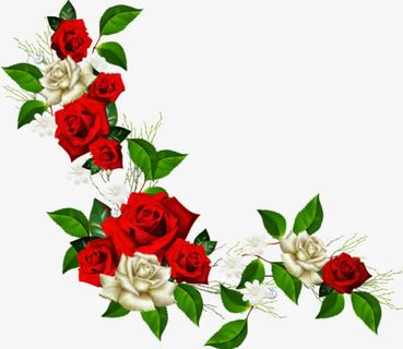 红白玫瑰花边框免抠 红白玫瑰花边框免抠