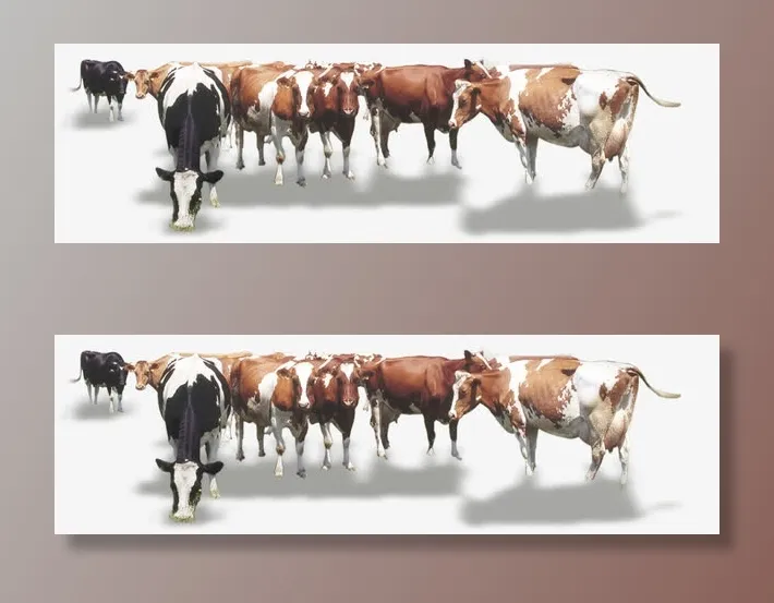 草原奶牛动物牧场免抠装饰动物元素