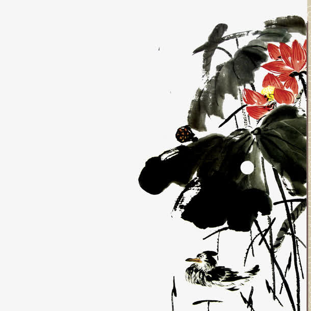 荷花免抠