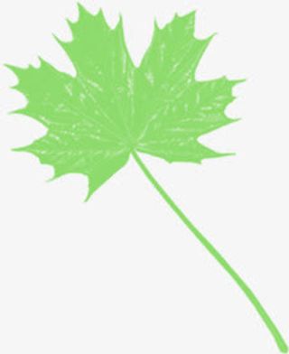 手绘春天绿叶装饰免抠