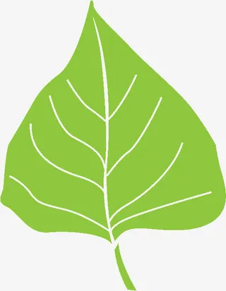 绿色叶子免抠