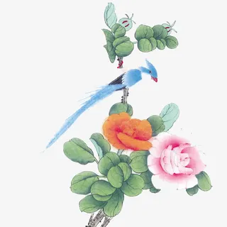 花鸟图免抠