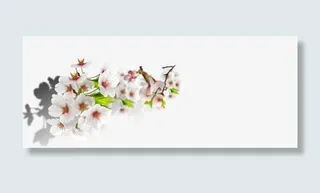 绿色白色盛开小花免抠