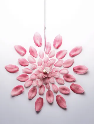 粉色花瓣清新H5背景高清