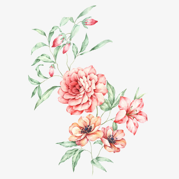 手绘花植物免抠