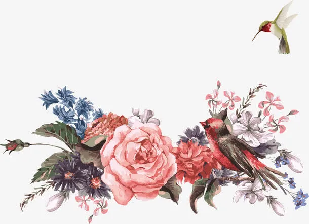 花鸟矢量图免抠
