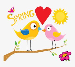 卡通小鸟树枝免抠