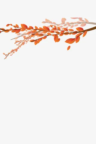 秋日红叶与树枝枝干免抠