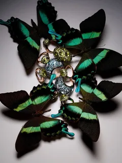 高清摄影创意元素绿色蝴蝶免抠