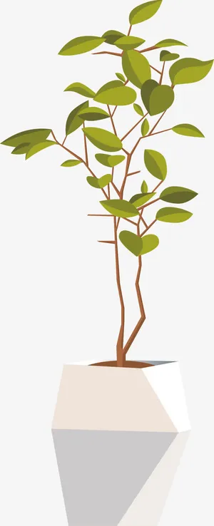 植物盆栽PNG下载免抠