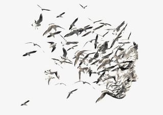 大雁组成的人像免抠