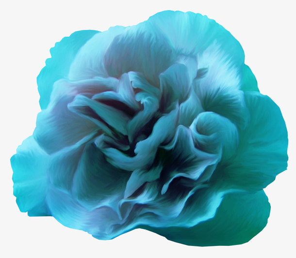 花卉免抠