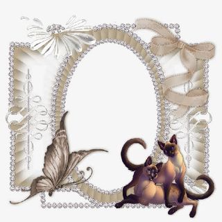 蝴蝶装饰的椭圆形网纱边框免抠