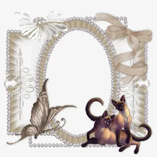 蝴蝶装饰的椭圆形网纱边框免抠