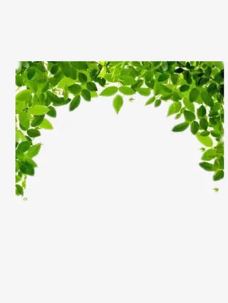 绿叶装饰图案免抠