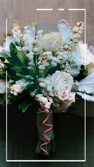 清新花朵植物psd分层H5背景高清