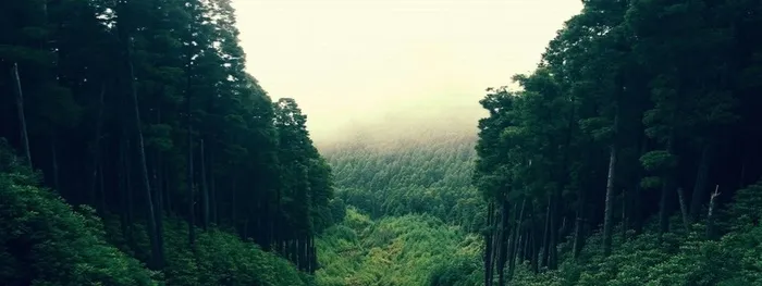 淘宝banenr高清