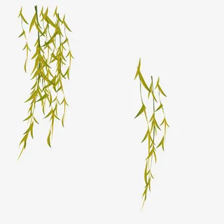 绿色简约柳条装饰图案免抠