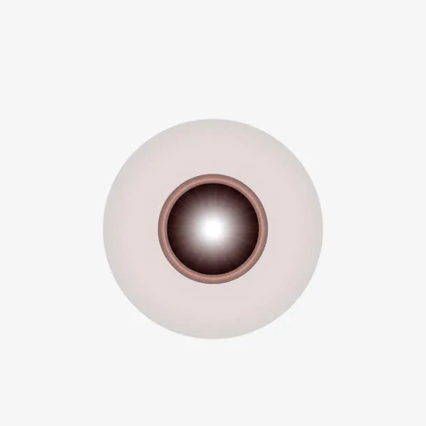 元旦设计元素免抠