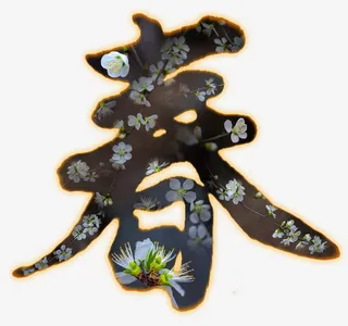 艺术字春免费下载免抠