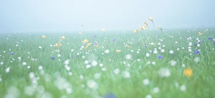 淘宝女装背景图高清