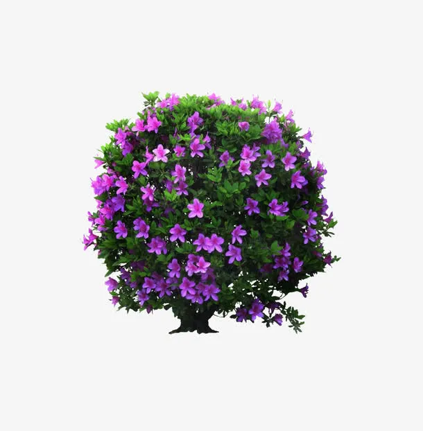 繁花满树免抠