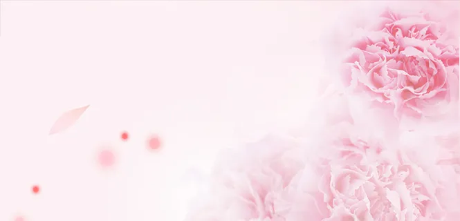 淘宝女装花瓣背景高清