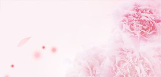 淘宝女装花瓣背景高清