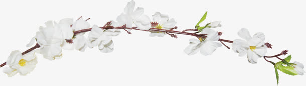树枝白色花朵装饰免抠