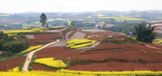 淘宝背景图高清