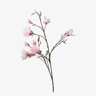 唯美桃花枝图片免抠