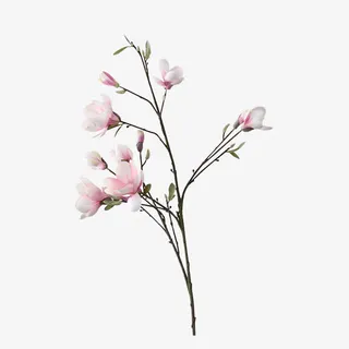 唯美桃花枝图片免抠