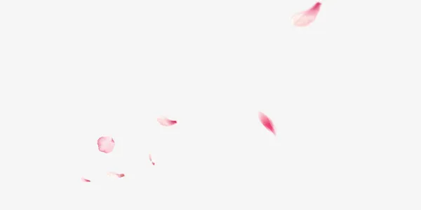 飘散的花瓣免抠