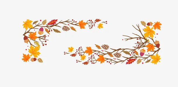 枫叶树枝边框免抠