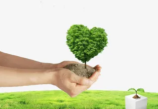 手捧着绿色的树免抠