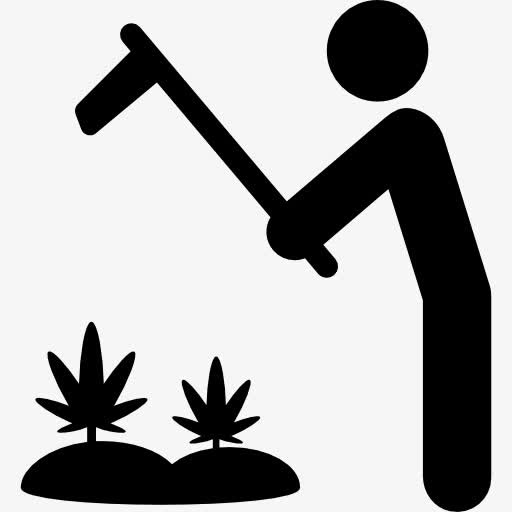 大麻种植图标免抠