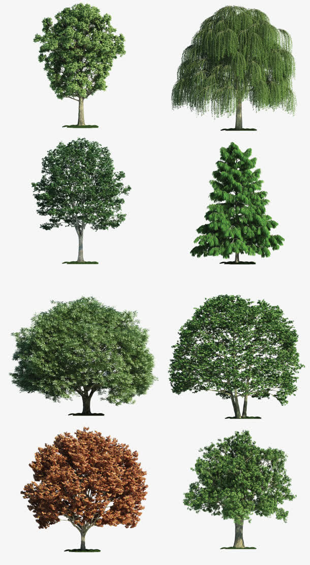 春天大树免扣绿树免抠动植物植物元素