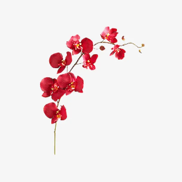 手绘花瓣漂浮png素材免抠