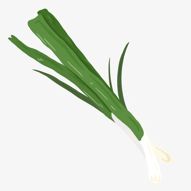 蔬菜绿色大葱插画免抠