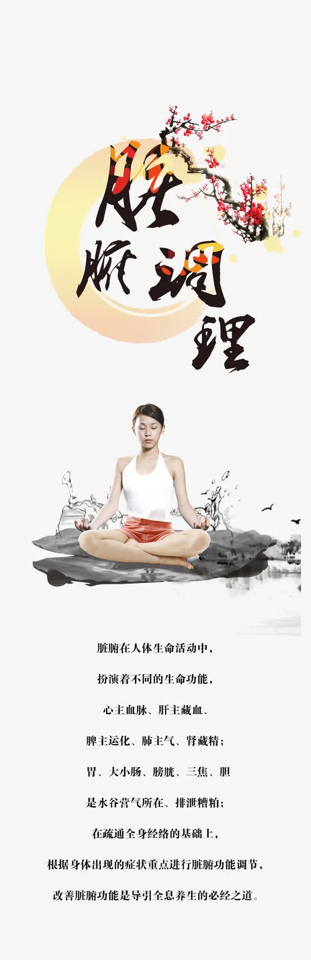 脏腑调理免抠