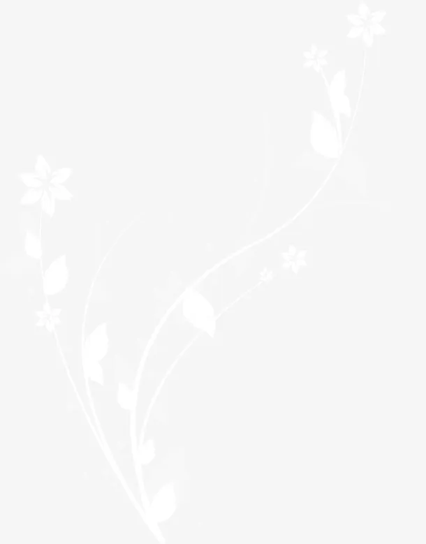 花枝免抠