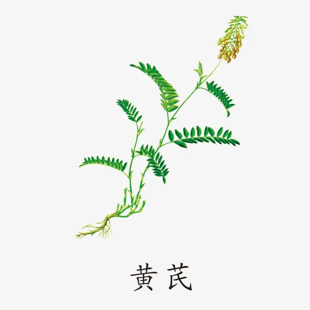 中药黄氏免抠