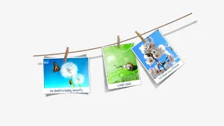 唯美照片边框免抠