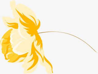 唯美花朵装饰免抠