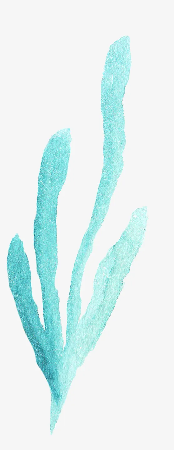 水彩风海洋海藻免抠