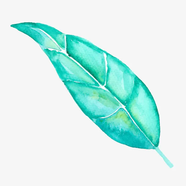 树叶免抠