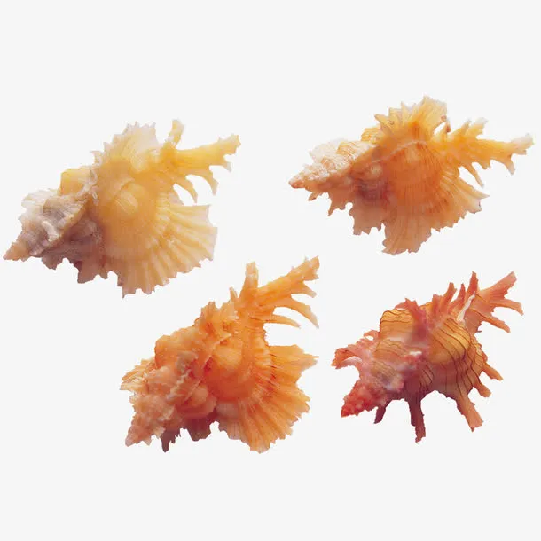 海螺免抠