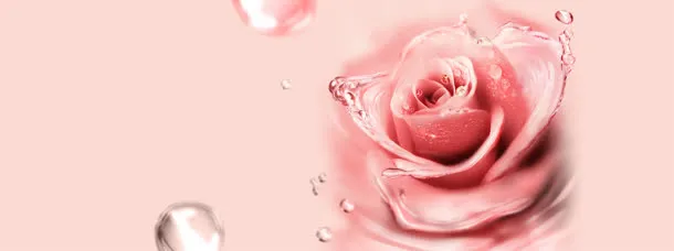 唯美玫瑰花淘宝广告banner