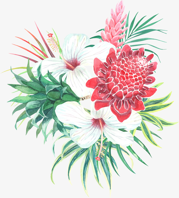 手绘红色白色花朵免抠