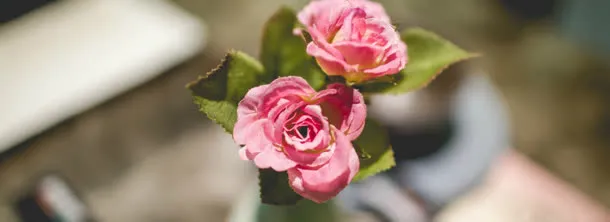 鲜花免抠